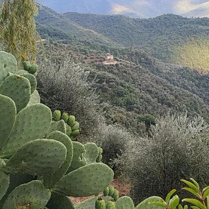 Appartamento Incantevole La Grotta Apricale Kültér fotó